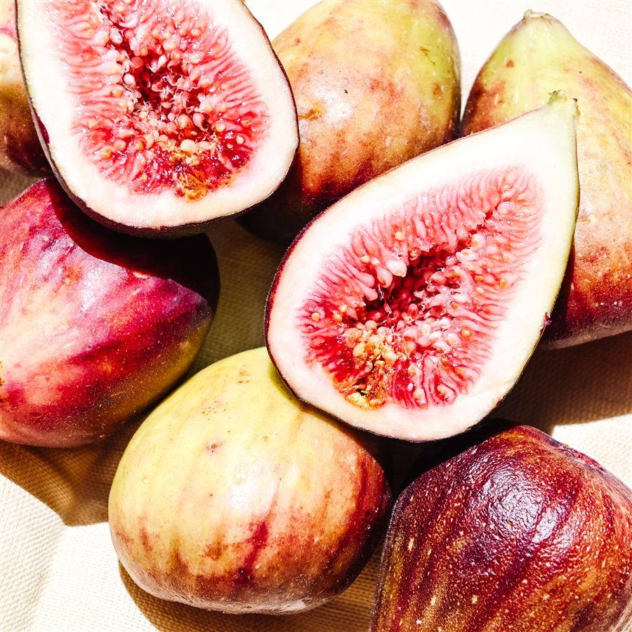Ripe figs growing on the branch in Ibiza